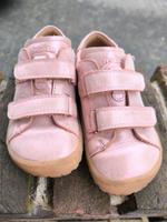 Frodo Barefoot Dortmund - Hörde Vorschau