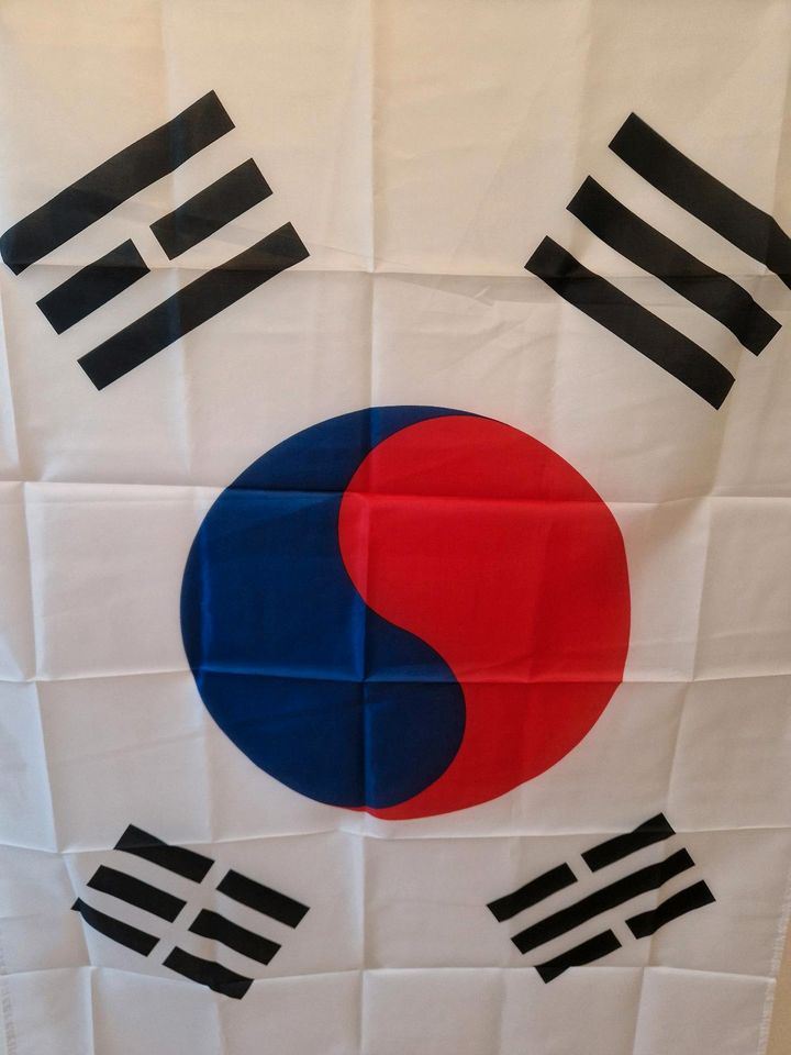 Flagge Südkorea Fahne Flag Dekoration 90x150cm Wimpel in Nürnberg (Mittelfr)