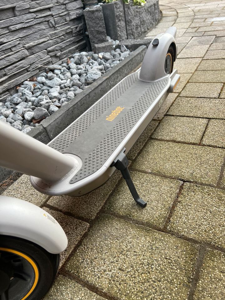Segway e-roller Ninebot Max G30LD, Grau in Zierenberg