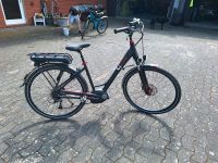 Fahrrad E-Bike Pedelec Sinus BT 20 Niedersachsen - Diepenau Vorschau