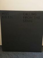 Miss Kittin Calling from the Stars 4 x Vinyl Electro Düsseldorf - Pempelfort Vorschau