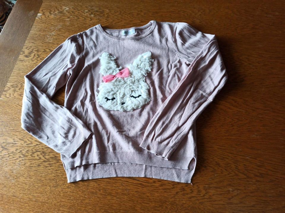 Pullover H&M mit Hase 134/140 in Burkardroth