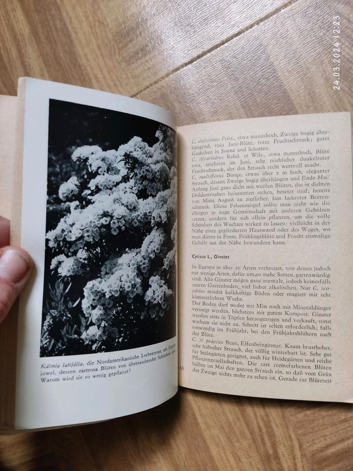 1975 Harri günther Blütensträucher bücher für den Gartenfreund in Bernsdorf