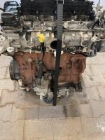 2.0 TDCI DYB  Motor Ford Focus Nordrhein-Westfalen - Meerbusch Vorschau