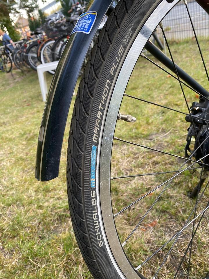 PEGASUS OPERO 50th Anniversary E-Bike Alurahmen 54cm Shimano in Hamburg