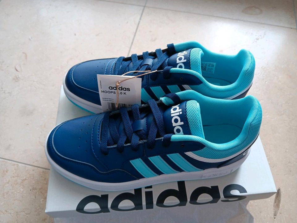 Adidas Hoops Gr. 37 1/3 NEU in blau in Kelheim