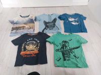 Set 5 T-Shirts in Größe 110/116 Ninjago Dino Niedersachsen - Westergellersen Vorschau