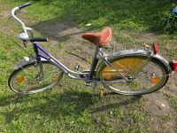 Damenfahrrad Damenrad Fahrrad Panther Sachsen - Lauta Vorschau