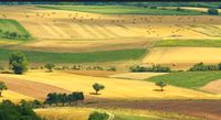 Ackerland, Wiesen und Feld zur Pacht Thüringen - Blankenhain Vorschau