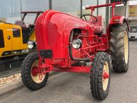 Porsche Super Diesel F329 Trecker Traktor Schlepper Oldtimer Nordrhein-Westfalen - Gevelsberg Vorschau