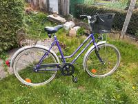 Damenrad DDR Fahrrad 26" Zoll mit Fahrradkörben Capriolo Sachsen-Anhalt - Hillersleben Vorschau