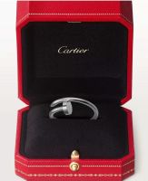 Cartier Juste un Clou Ring (Größe 54) Thüringen - Friedrichroda Vorschau