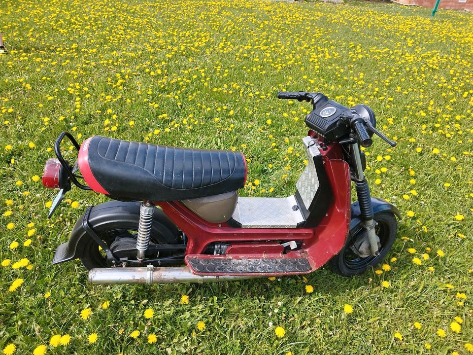 Simson SR50 in Steinberg