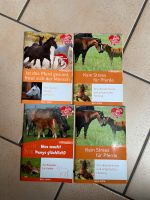 Lehrbuch über Pferde Schleswig-Holstein - Fleckeby Vorschau