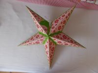 Papierstern, rosa, pink, Frosch, earth friendly starlightz, TOP Baden-Württemberg - Schömberg b. Württ Vorschau