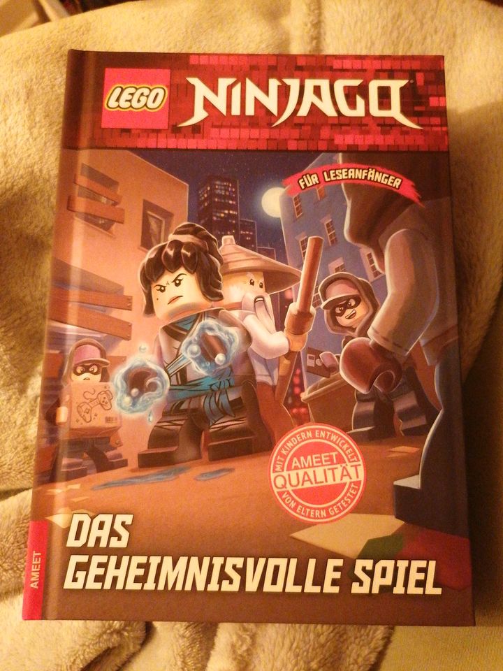 6 Lego Ninjago Bücher in Mönkeberg