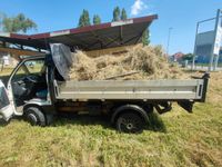 Hecke Schneiden Baumpflege Grünschnitt häckseln Entsorgung Dresden - Räcknitz/Zschertnitz Vorschau