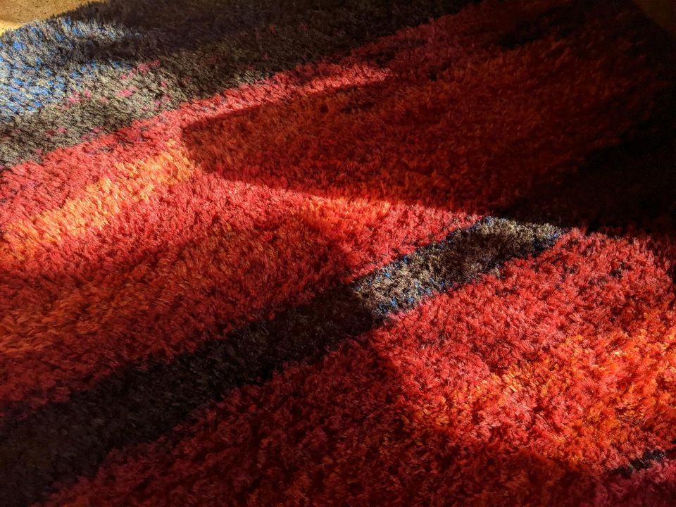 70er Hochflor-Teppich, Vintage, evtl. Desso oder Doeges in Detmold