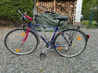 Mountainbike, Trackingbike 28 Zoll LETZTE PREIS Niedersachsen - Bad Harzburg Vorschau