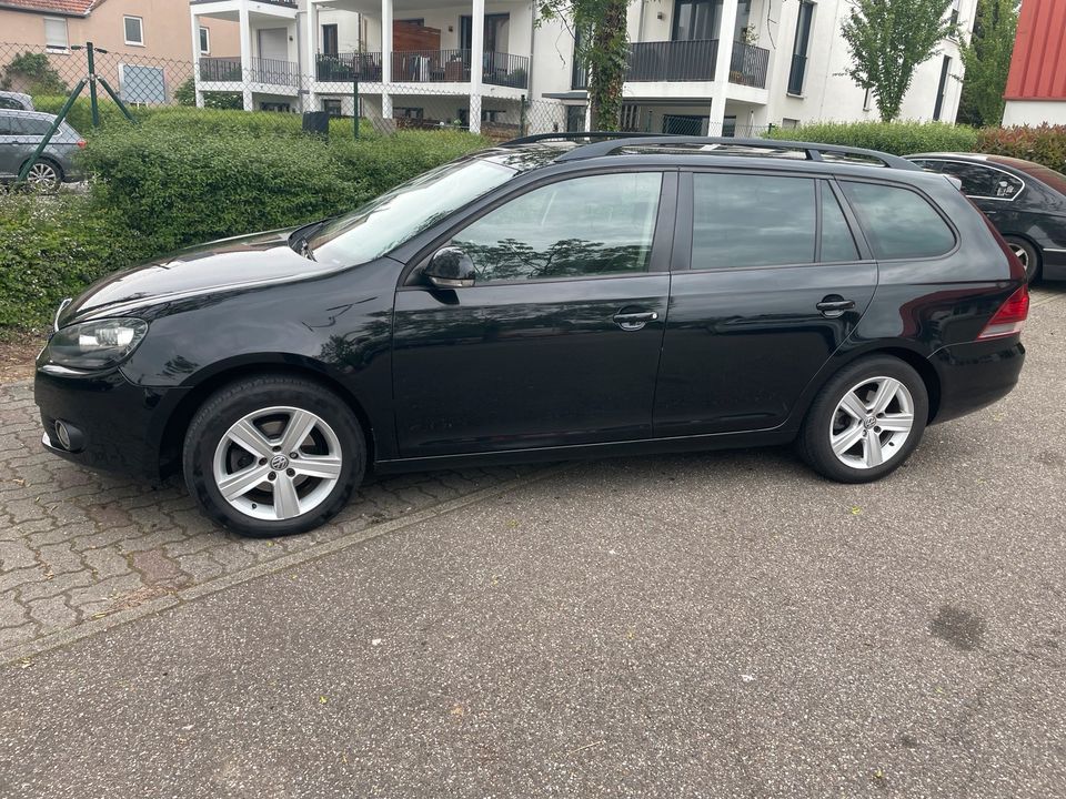 VW Golf 1.6 TDI in Landau in der Pfalz