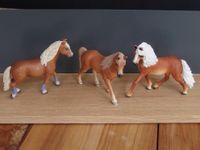 Schleich 3 Pferde (Haflinger u.dergl.) zus. 11,-€ Baden-Württemberg - Ostfildern Vorschau