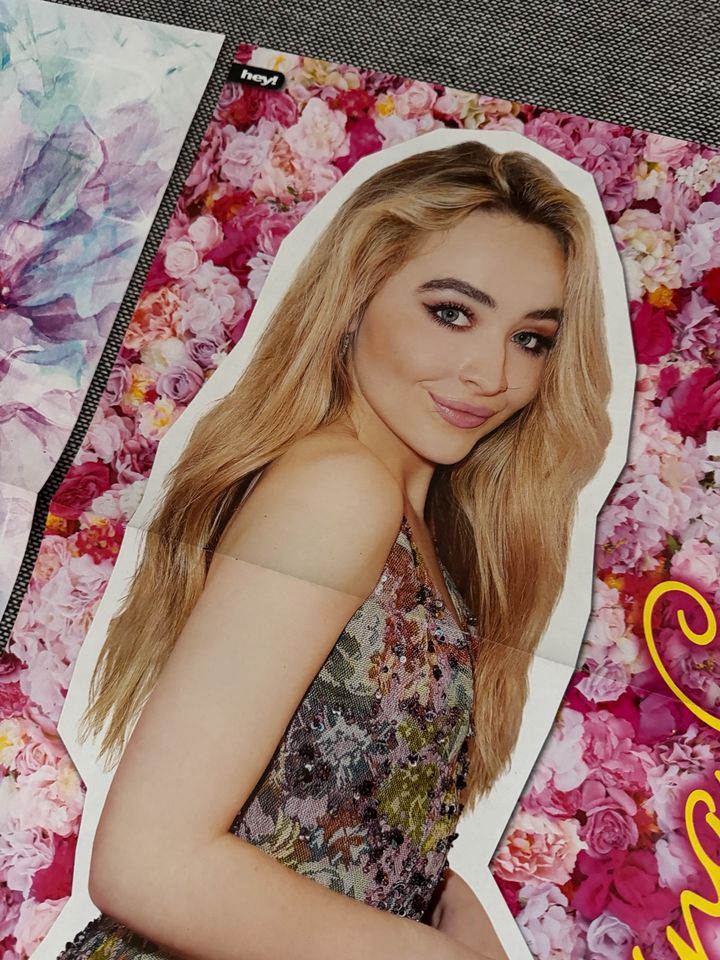 Sabrina Carpenter Poster / Girl meets world Poster in Gerabronn