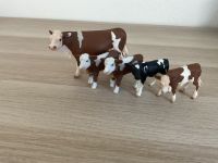 Schleichtiere Bauernhof Nordrhein-Westfalen - Büren Vorschau