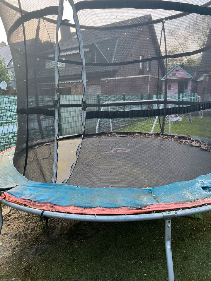 Trampolin groß in Duisburg