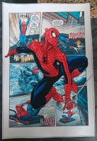 Marvel Spiderman Bild 20x30 Sammler Rheinland-Pfalz - Adenau Vorschau