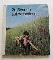 Kinderbuch DDR Zu Besuch auf der Wiese 1. Auflage 1984 Sachsen-Anhalt - Langenstein Vorschau