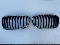 BMW 1er F20 F21 LCI Facelift Nieren Kühlergrill Set Paar Chrome Saarbrücken - Saarbrücken-Mitte Vorschau