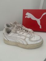 Puma Kinderschuhe Gr.31 Nordrhein-Westfalen - Hamm Vorschau