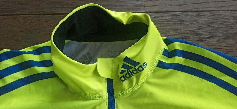 Adidas XC Top Men warm gelb- blau in Trappstadt