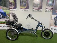 Van Raam Easy Rider Silent HT Therapeutisches Elektro Dreirad Nordrhein-Westfalen - Gronau (Westfalen) Vorschau