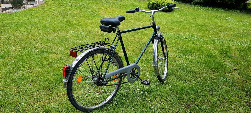 Herren Fahrrad der Marke Bismarck in Elbe-Parey