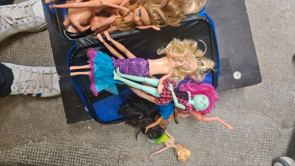 26 Barbie Puppen in Stuttgart