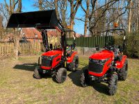 StarTrac 263 4WD Kleintraktor Frontlader HUBKRAFT 500 KG Traktor Niedersachsen - Liebenau Vorschau