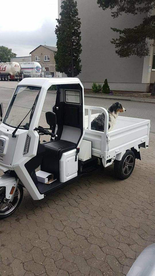 Elektrofahrzeug Kabinenroller Elektro Lasten Pick Up Trike in Lorsch