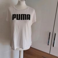 Puma T-Shirt gr. 38 Brandenburg - Zossen Vorschau