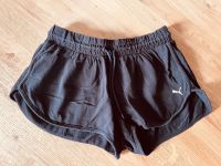 Puma Shorts Damen M Schleswig-Holstein - Averlak Vorschau