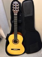 Ortega Gitarre R121SN Rheinland-Pfalz - Idar-Oberstein Vorschau