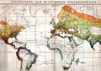 ANTIKE KARTE- 1897- KULTURGEWÄCHSE- NAHRUNG- GEWÜRZE- GENUSS Berlin - Mitte Vorschau