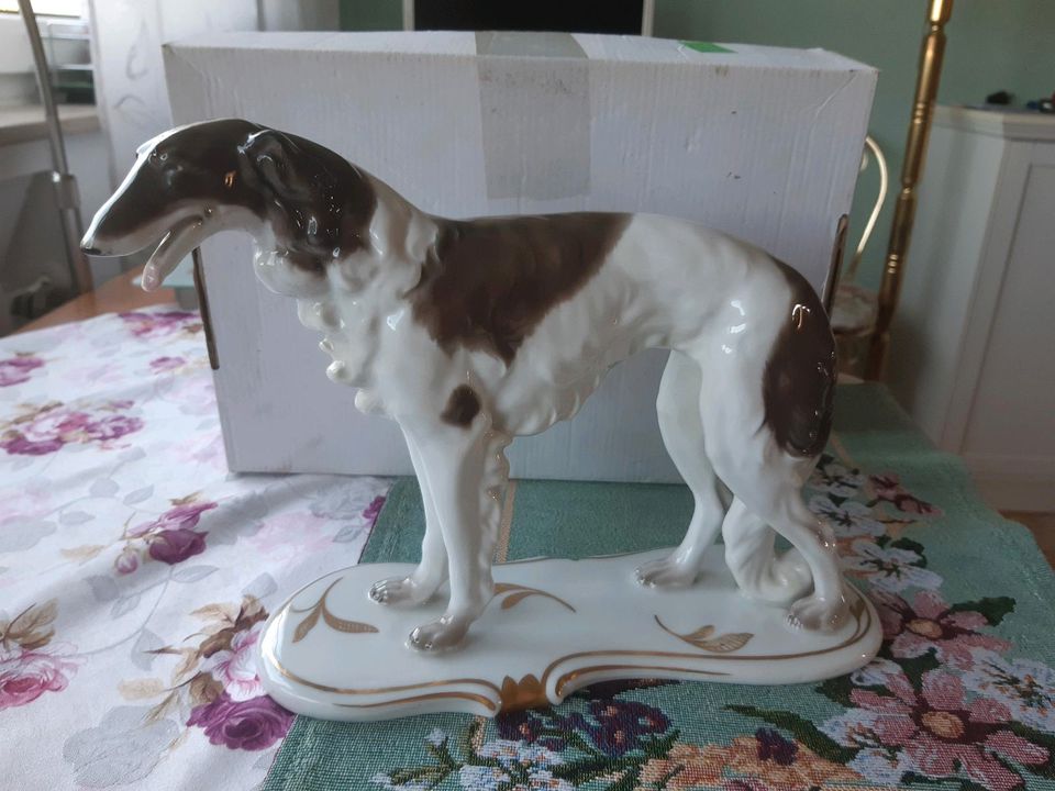 Russischer Windhund. in Nordrhein-Westfalen - Gladbeck | Kunst und  Antiquitäten gebraucht kaufen | eBay Kleinanzeigen ist jetzt Kleinanzeigen