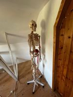 Skelett mit Muskelbemalung Nordfriesland - Risum-Lindholm Vorschau