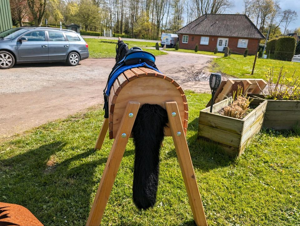 Holzpferd mit Sattel in Schwesing