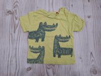 T-Shirt von s.Oliver / Gr. 68 / grün / Krokodile Thüringen - Teistungen Vorschau