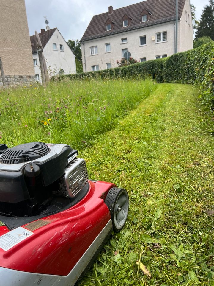 Gartenpflege, Rasen mähen , Hecken/Sträucher schneiden, in Hillscheid