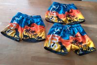 Badehose Badeshorts Dinos 134/140 C&A top je 6 € Rheinland-Pfalz - Frankenthal (Pfalz) Vorschau