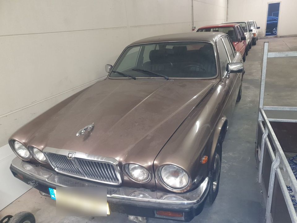                     Jaguar XJ6 oldtimer 1983