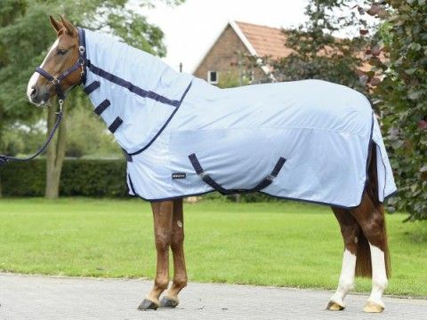 Sale 3 Modelle Fliegendecke Horseware Rambo Protector UVP 194,95 -jetzt 165.- extrem robust,UV Schutz,Amigo Mio Fly ab 49,-€ Busse Sunshine  ab 45.-€  95,105,115,125,130,140,145,155,160 + Big size NEU in Kempen